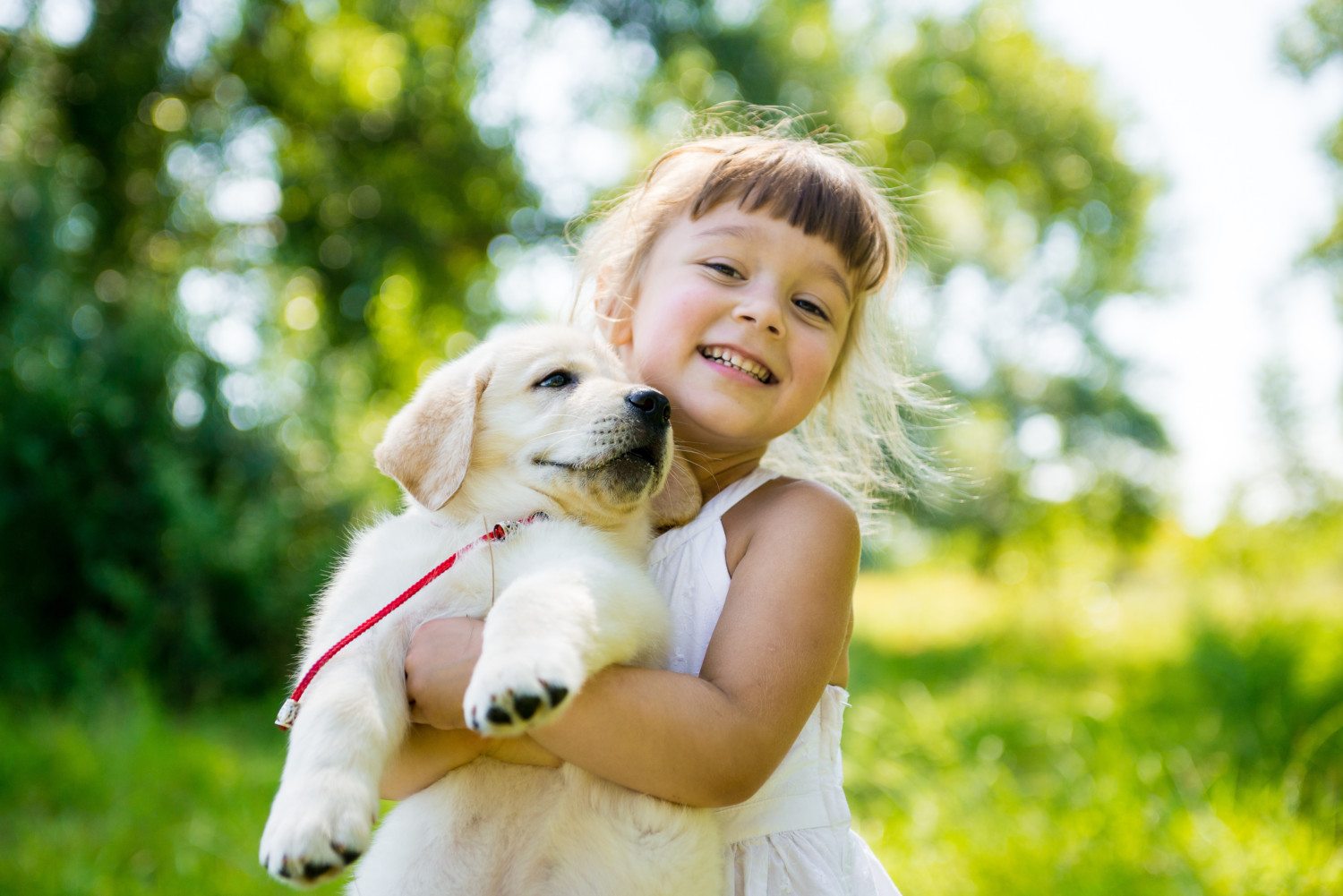 Importância de estimular uma boa relação entre crianças e pets