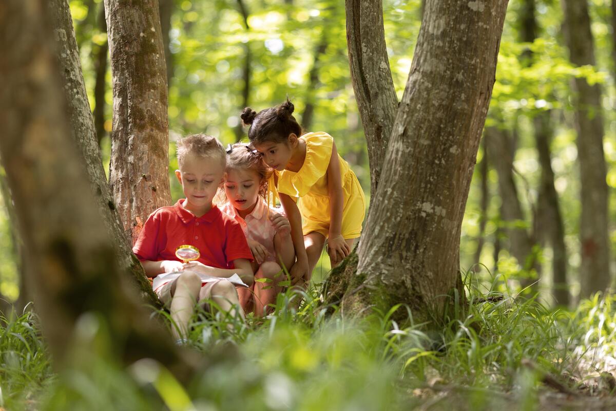 Arborização e paisagismo para playgrounds. Tenha uma área divertida e protegida!